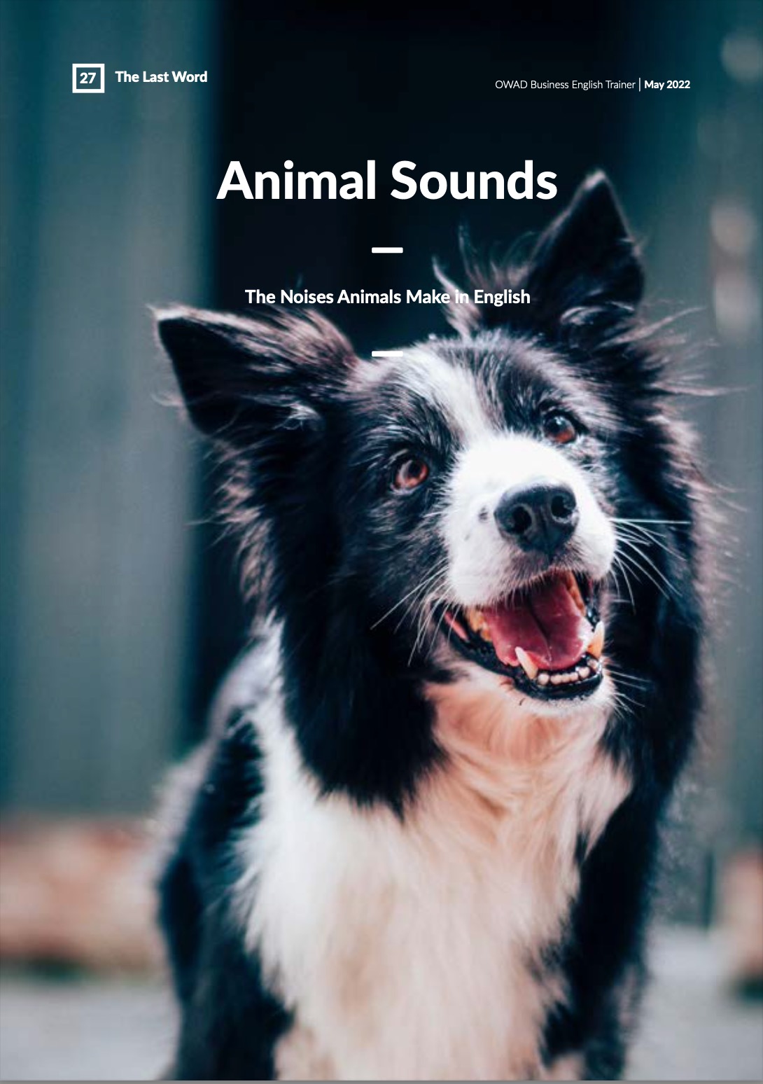 Animal Sounds